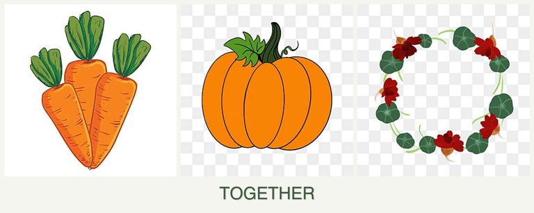 Can you plant carrots, pumpkin and nasturtiums together?