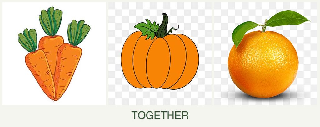 Can you plant carrots, pumpkin and oranges together?