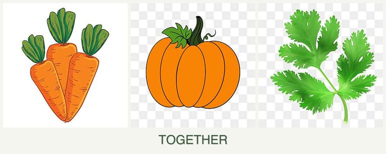 Can you plant carrots, pumpkin and parsley together?