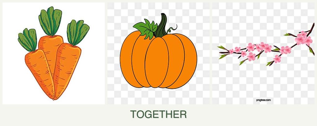 Can you plant carrots, pumpkin and peaches together?