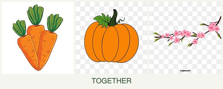 Can you plant carrots, pumpkin and peaches together?
