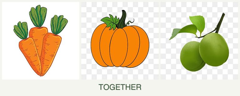 Can you plant carrots, pumpkin and plums together?