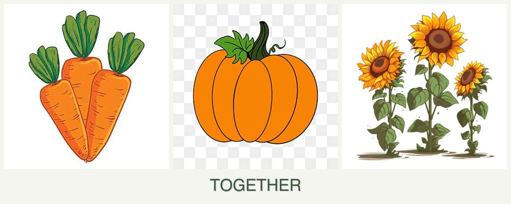 Can you plant carrots, pumpkin and sunflowers together?