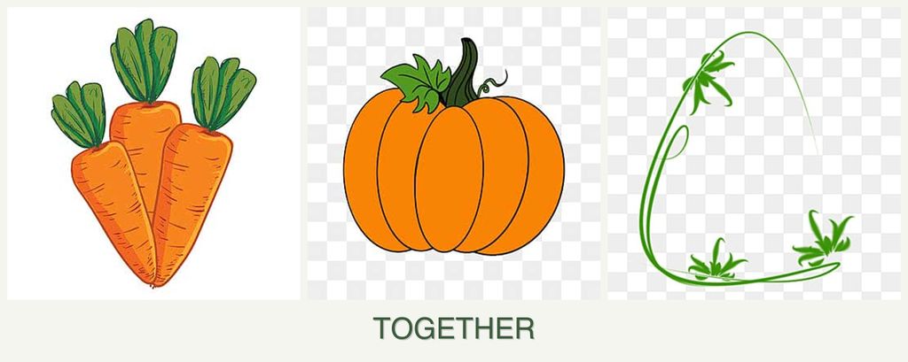 Can you plant carrots, pumpkin and tarragon together?