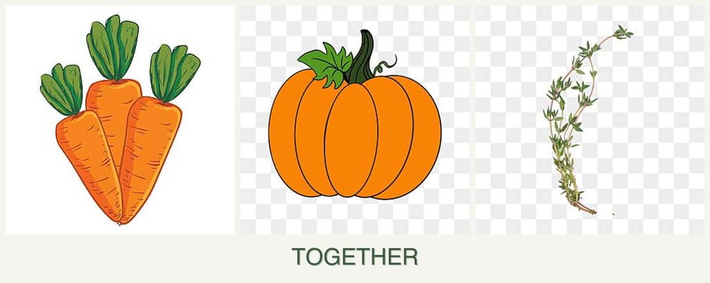 Can you plant carrots, pumpkin and thyme together?