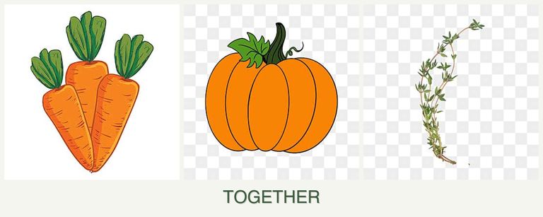 Can you plant carrots, pumpkin and thyme together?