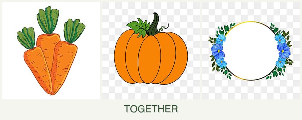 Can you plant carrots, pumpkin and zinnias together?