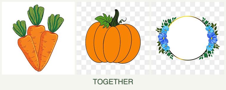 Can you plant carrots, pumpkin and zinnias together?