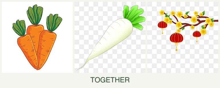 Can you plant carrots, radishes and apricots together?