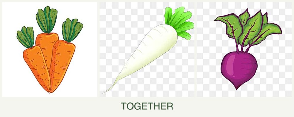 Can you plant carrots, radishes and beets together?