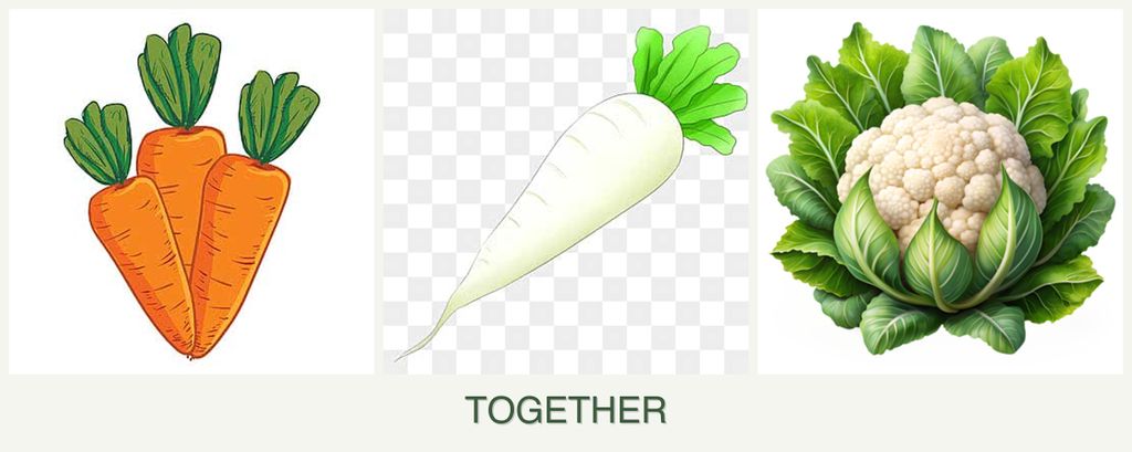 Can you plant carrots, radishes and cauliflower together?