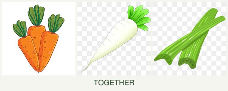 Can you plant carrots, radishes and celery together?