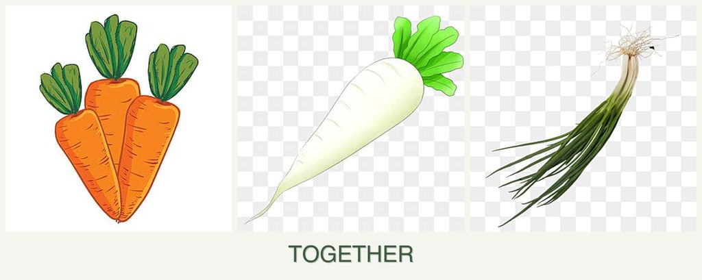Can you plant carrots, radishes and chives together?