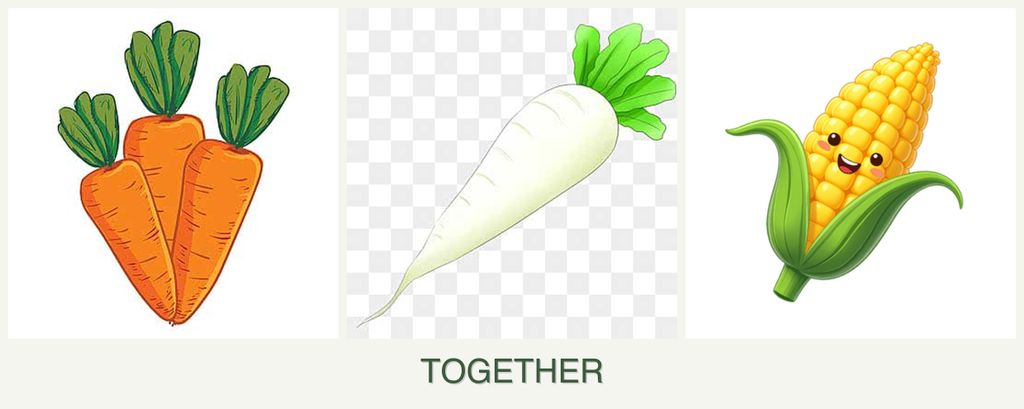 Can you plant carrots, radishes and corn together?