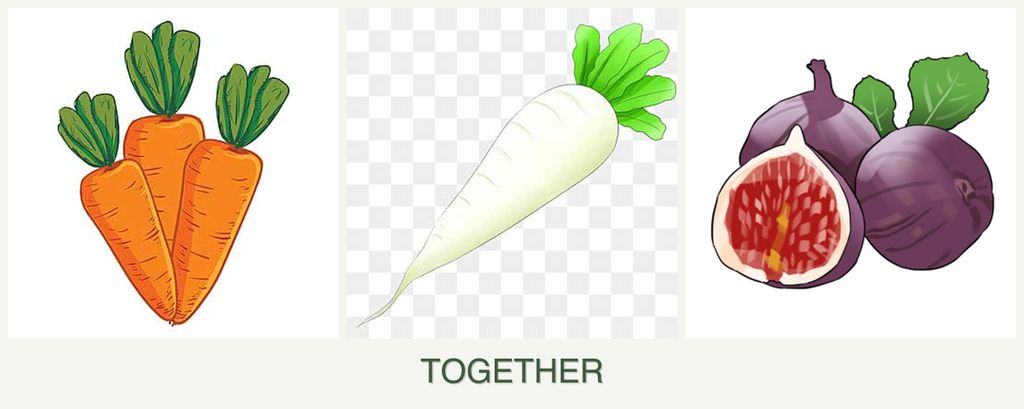 Can you plant carrots, radishes and figs together?