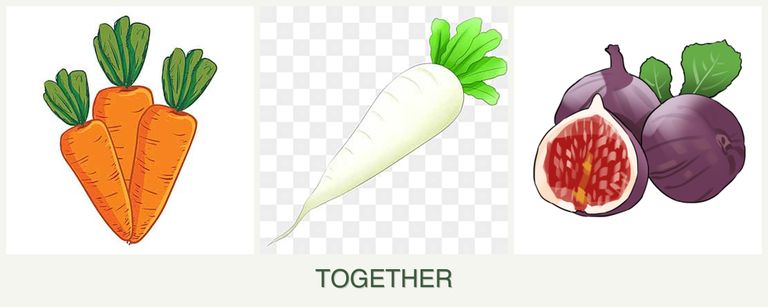 Can you plant carrots, radishes and figs together?