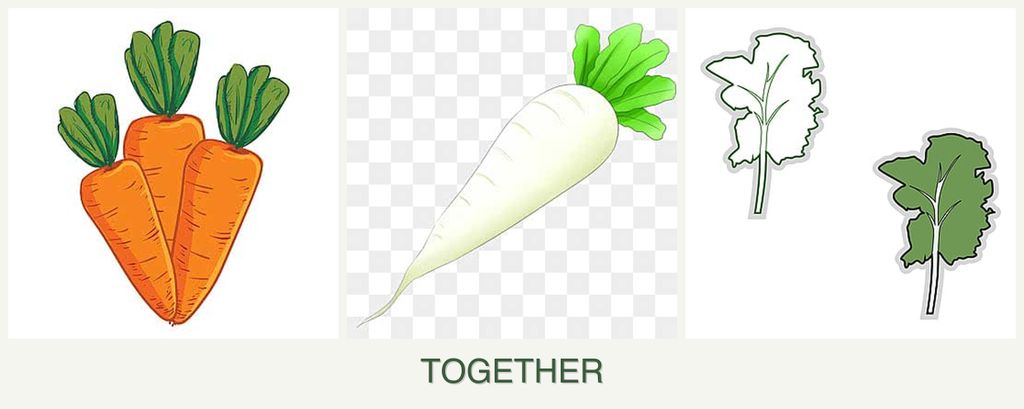 Can you plant carrots, radishes and kale together?
