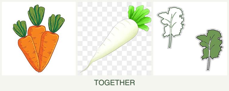Can you plant carrots, radishes and kale together?