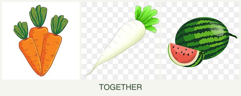 Can you plant carrots, radishes and melons together?