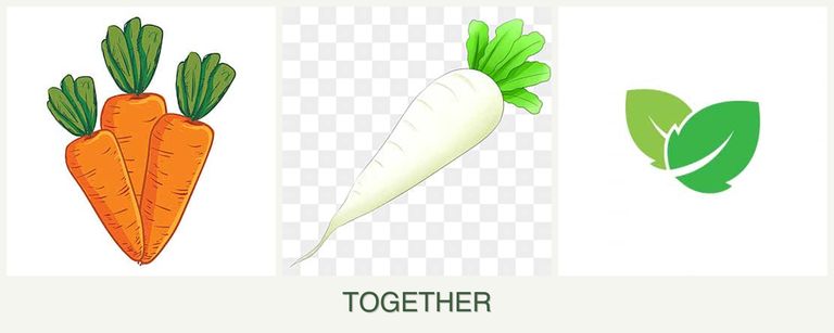 Can you plant carrots, radishes and mint together?