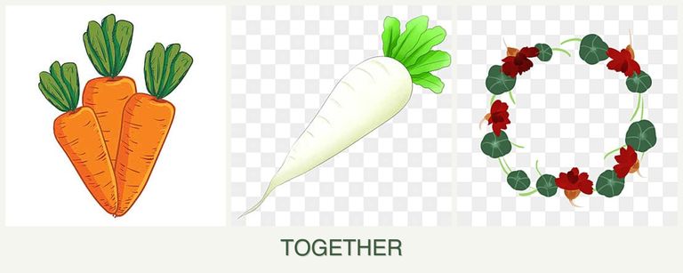 Can you plant carrots, radishes and nasturtiums together?