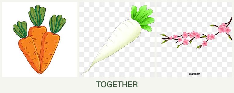 Can you plant carrots, radishes and peaches together?