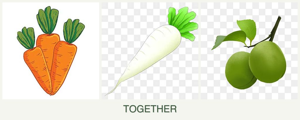Can you plant carrots, radishes and plums together?