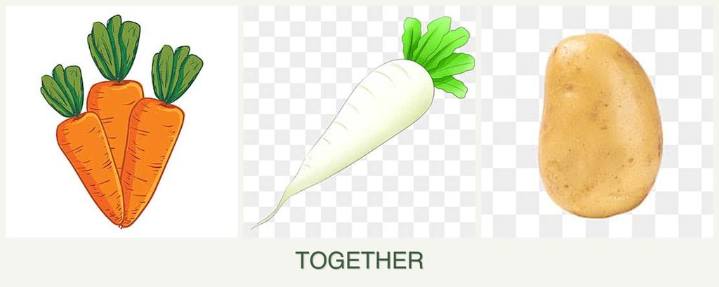 Can you plant carrots, radishes and potatoes together?