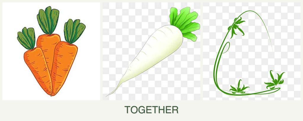 Can you plant carrots, radishes and tarragon together?