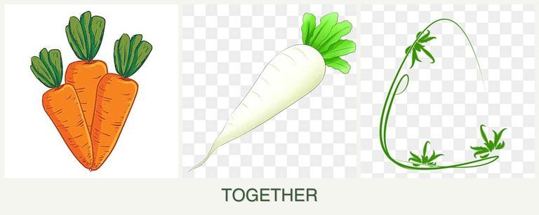 Can you plant carrots, radishes and tarragon together?
