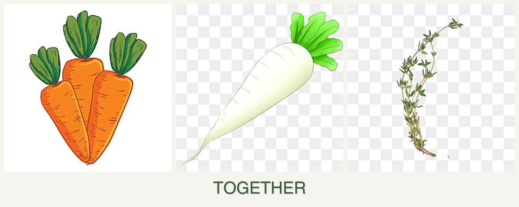 Can you plant carrots, radishes and thyme together?