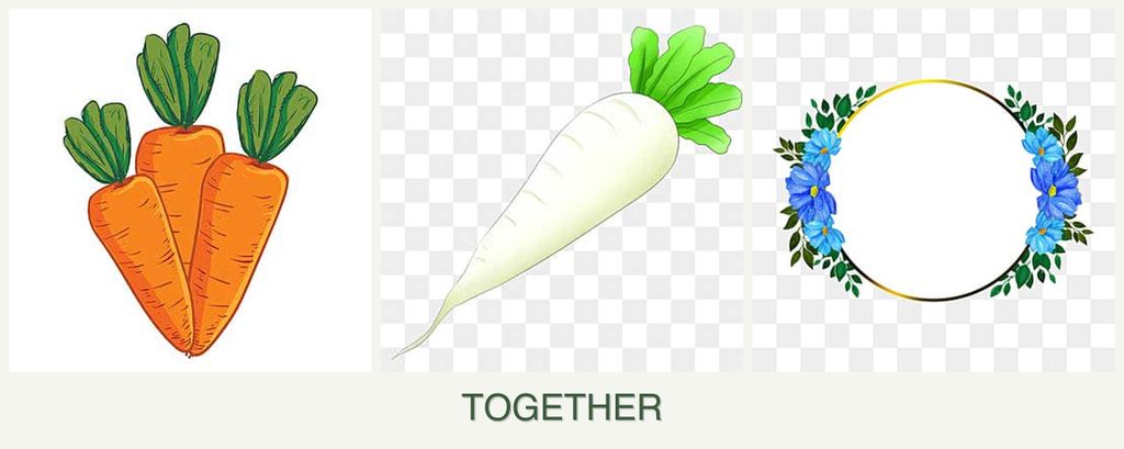 Can you plant carrots, radishes and zinnias together?