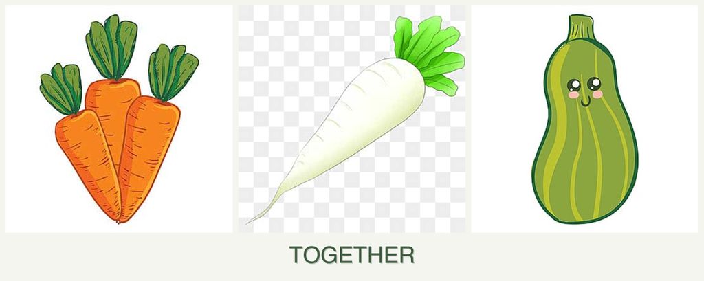 Can you plant carrots, radishes and zucchini together?