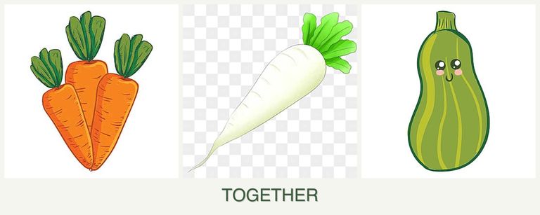 Can you plant carrots, radishes and zucchini together?