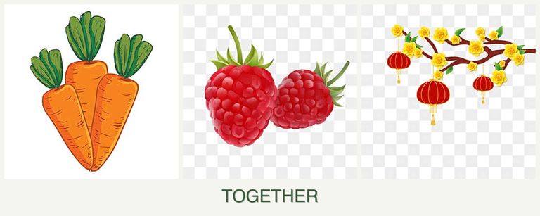 Can you plant carrots, raspberries and apricots together?