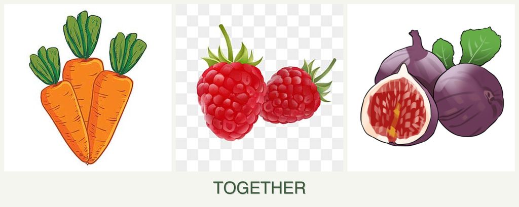 Can you plant carrots, raspberries and figs together?