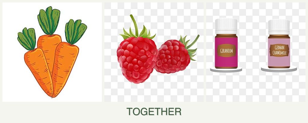 Can you plant carrots, raspberries and geraniums together?