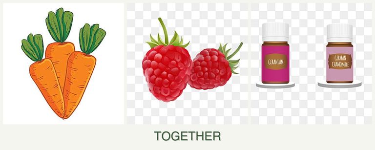 Can you plant carrots, raspberries and geraniums together?