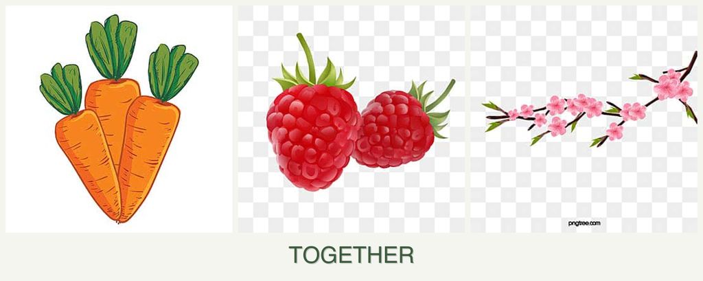 Can you plant carrots, raspberries and peaches together?