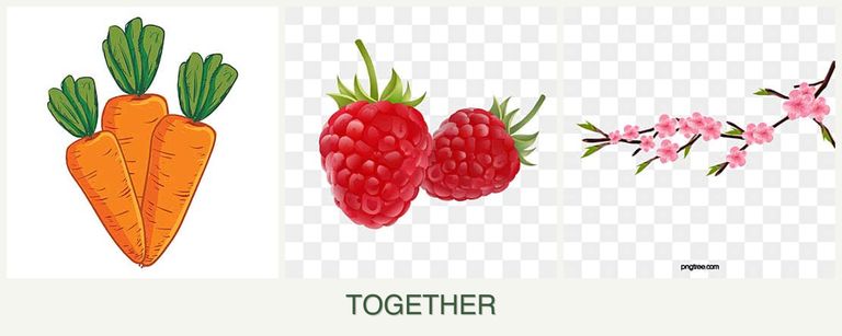 Can you plant carrots, raspberries and peaches together?