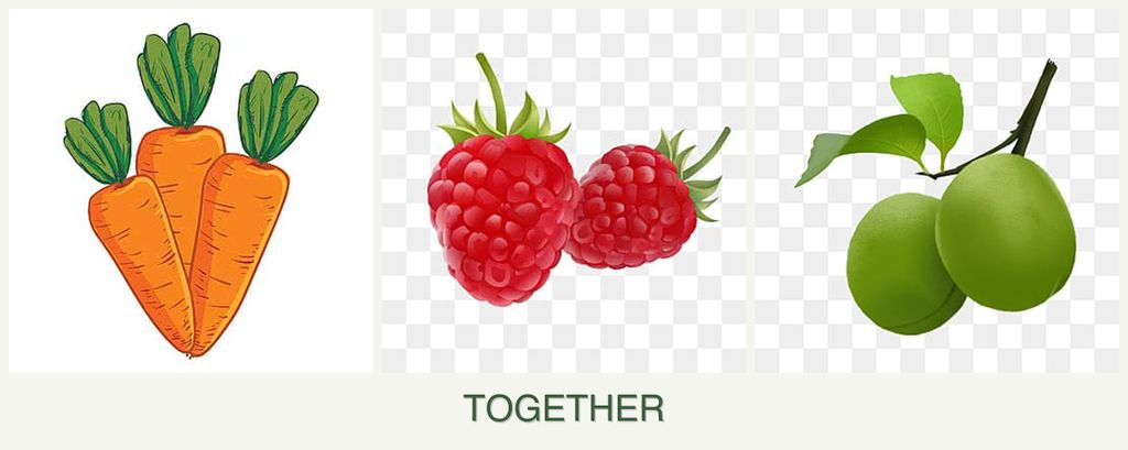 Can you plant carrots, raspberries and plums together?