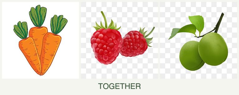 Can you plant carrots, raspberries and plums together?