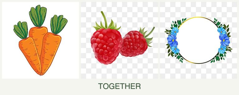 Can you plant carrots, raspberries and zinnias together?