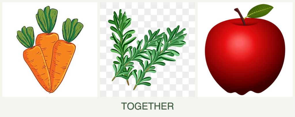 Can you plant carrots, rosemary and apples together?