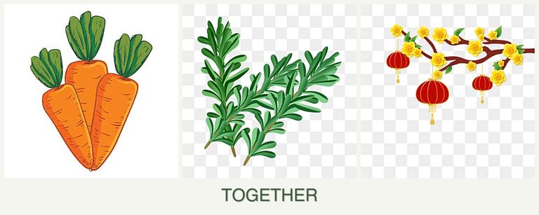 Can you plant carrots, rosemary and apricots together?