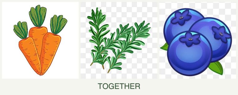 Can you plant carrots, rosemary and blueberries together?