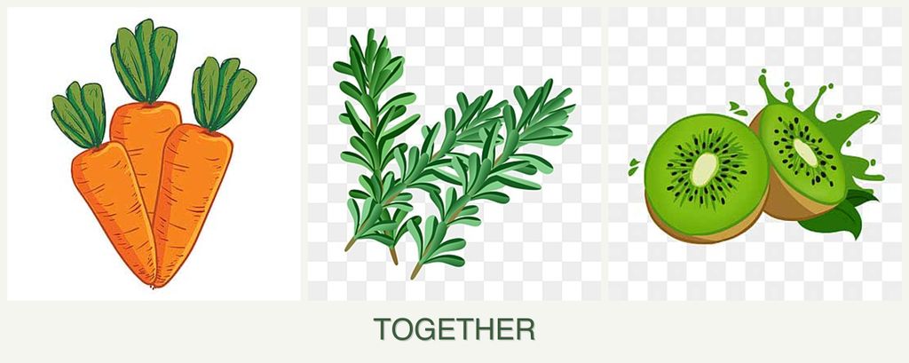 Can you plant carrots, rosemary and kiwi together?