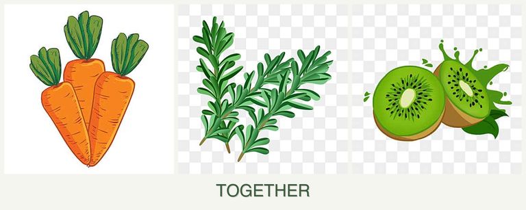 Can you plant carrots, rosemary and kiwi together?