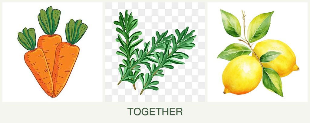 Can you plant carrots, rosemary and lemons together?