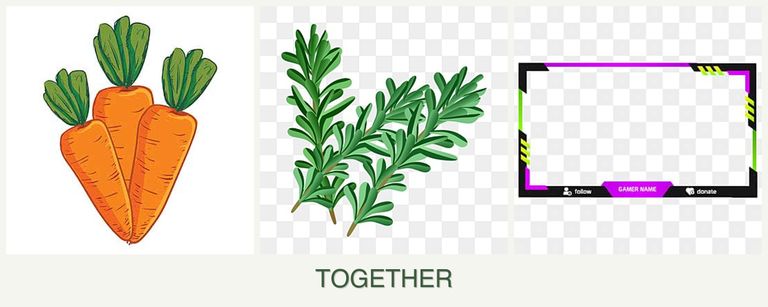 Can you plant carrots, rosemary and limes together?